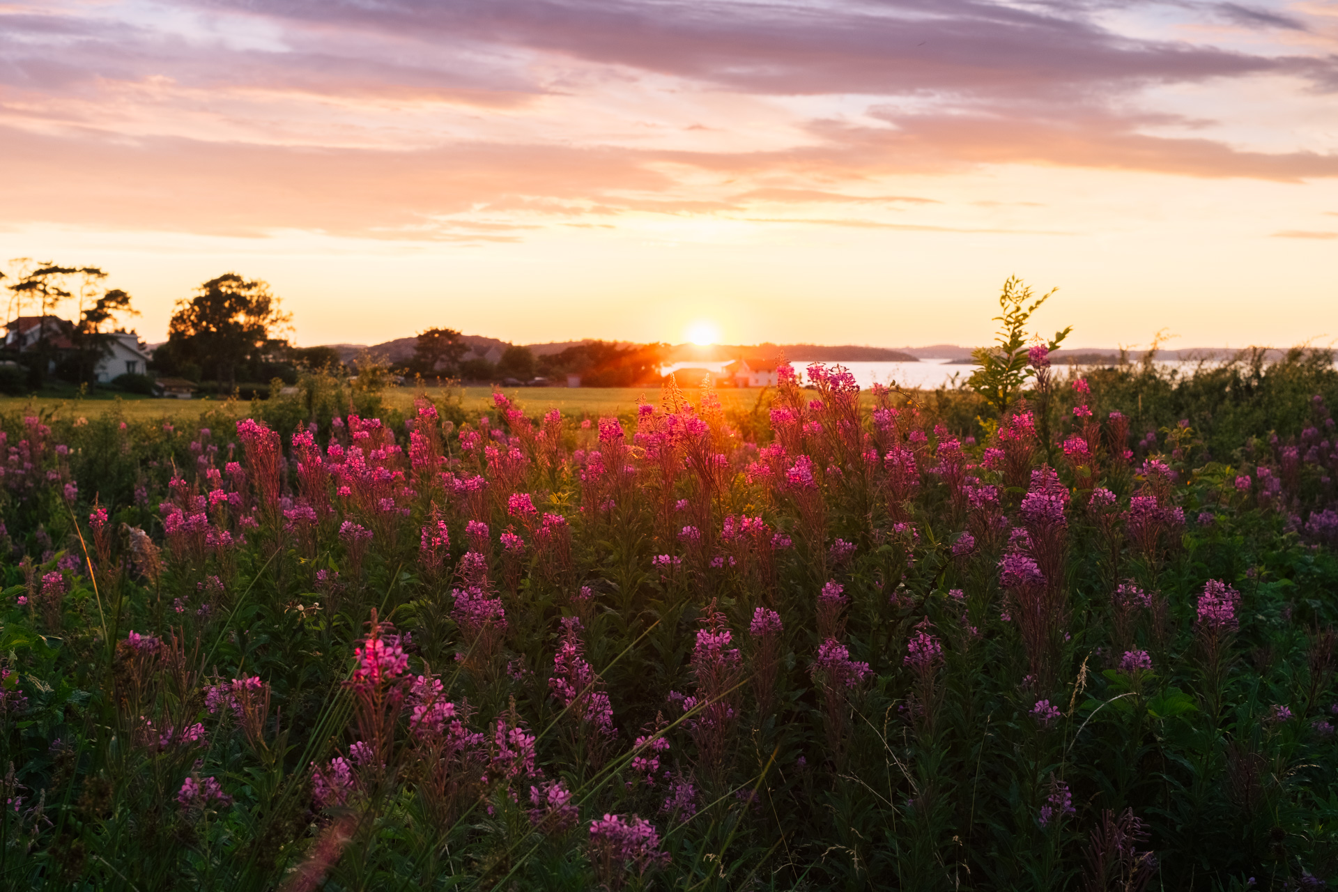 View from Märgelvägen